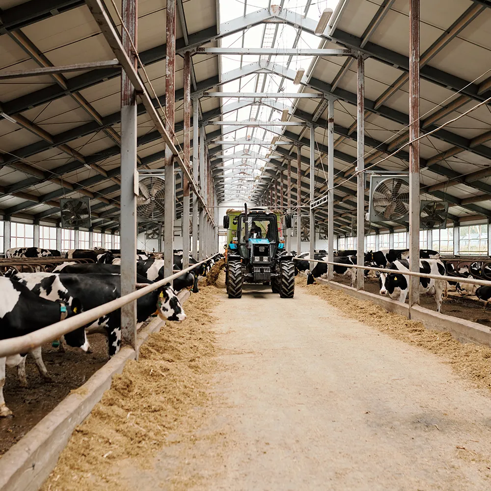 Livestock monitoring Devon and Somerset